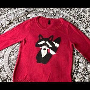 Raccoon Sweater